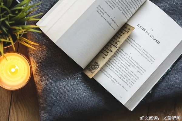 《如何有效阅读一本书》读后感100字