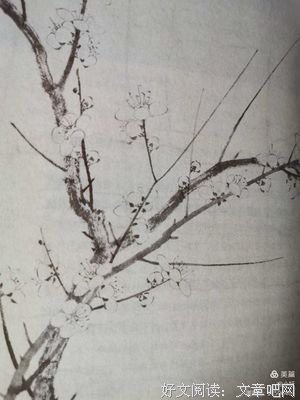 极简生活：简而美地活经典读后感有感