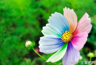 天上再见读后感1000字