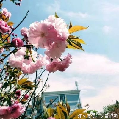 我心温柔，自有力量读后感摘抄