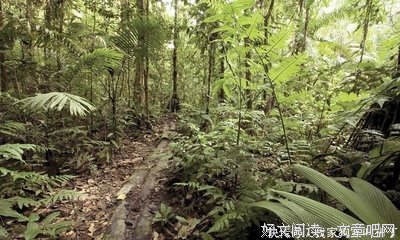 《天国梦魇》读后感精选