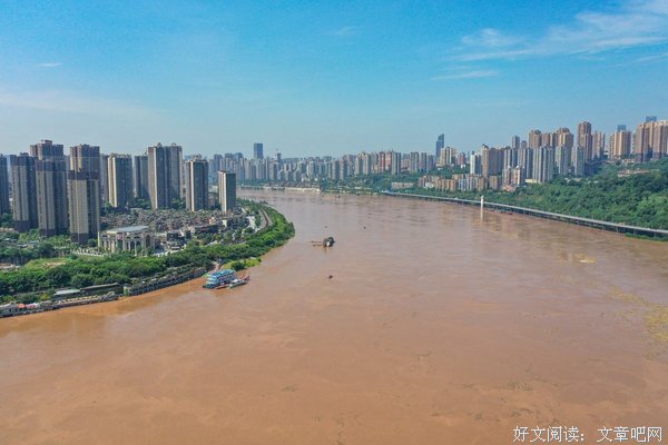 《必杀第四号》经典观后感1000字