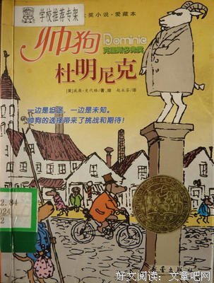 《帅狗杜明尼克》的读后感大全