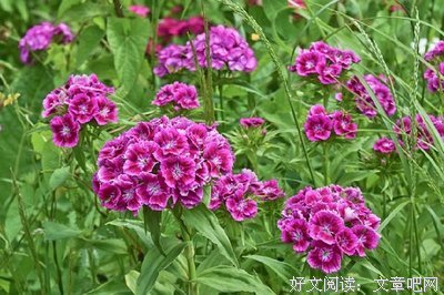 关于事过境迁的语句