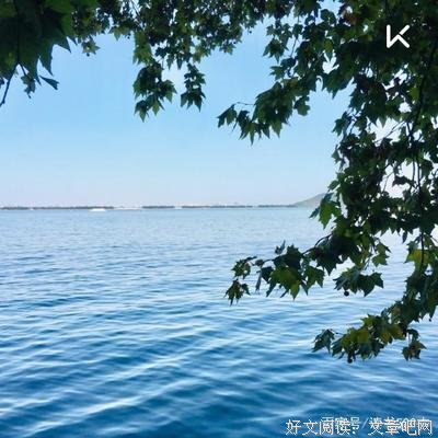 《冷峻的良心：奥威尔传》读后感摘抄