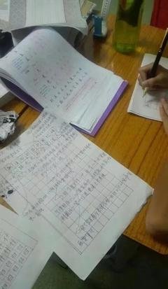 我的收藏读后感100字