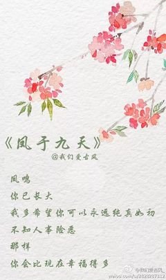 描写来者不拒的经典句子