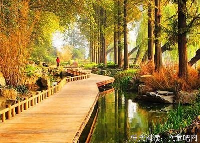 关于心的方向的句子