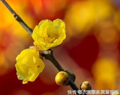 叹息着名句欣赏