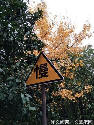 粉色信笺的优美句子