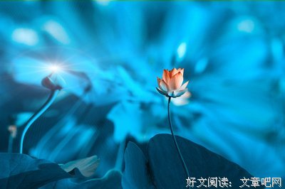 关于禅梦的句子