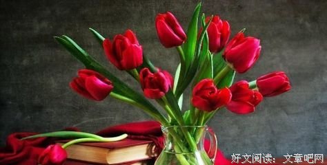 韧经典名句