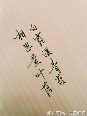 我喜欢句子大全