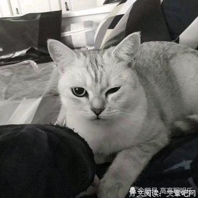 专用经典的句子