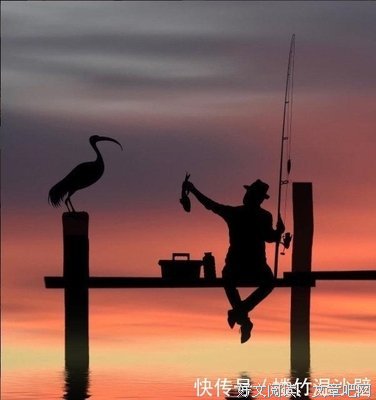 《谁的青春不迷茫》的句子