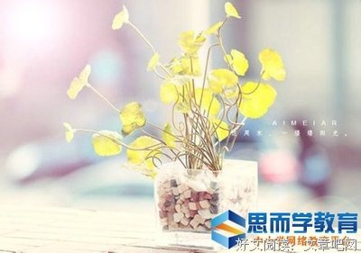 关于青春的优美句子