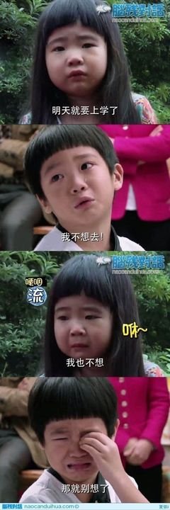 关于威廉·夏依勒名言