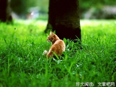 威廉·巴勒斯名言大全