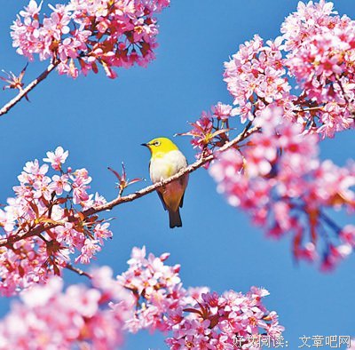 精神自治读后感摘抄