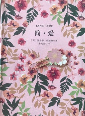 《魔鬼的牧师》读后感100字