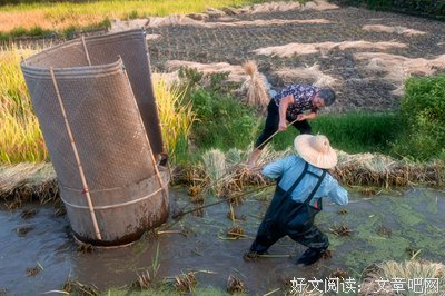 《上阵父子兵》好看吗？经典影评锦集