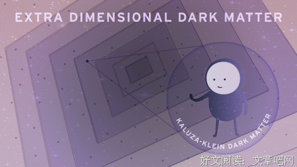 第五维度读后感100字