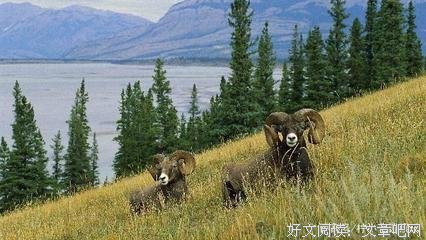 无知的语句摘抄_关于无知的语句