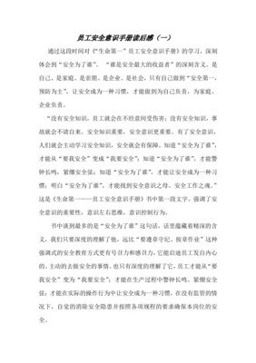 90秒抵达安全:CIA公民安全手册的读后感大全