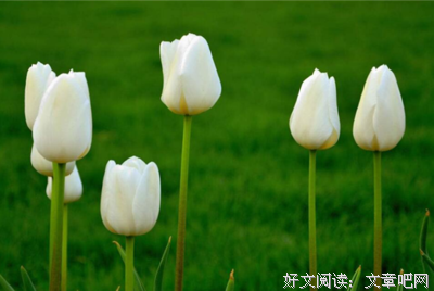 关于安慰名言名句