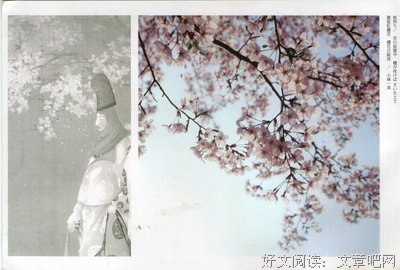 《飞蛾特快•寄念》读后感精选
