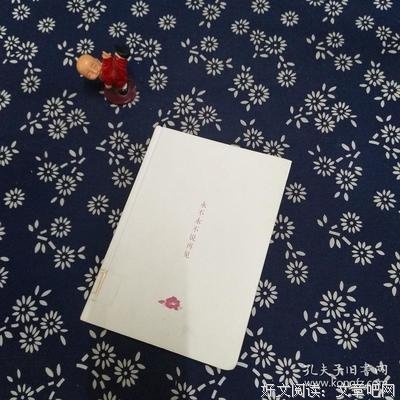 《永不说再见》经典影评有感