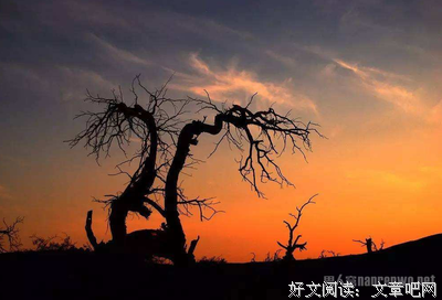 爱我的句子