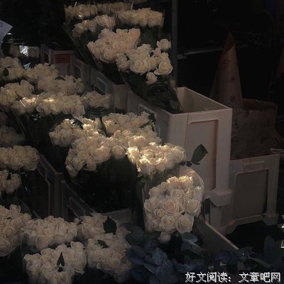 聂鲁达句子大全