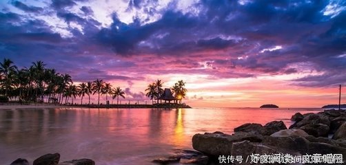 喜爱的句子