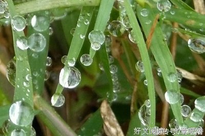 路上优美的句子