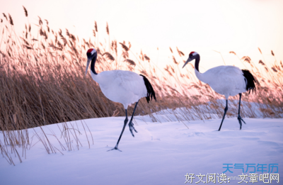 《泡沫》的句子