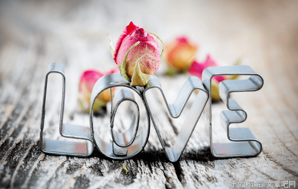 爱情的句子大全
