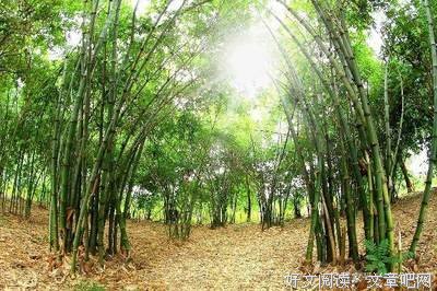 有关后会无期的句子