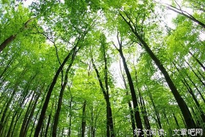 有关遮天的句子