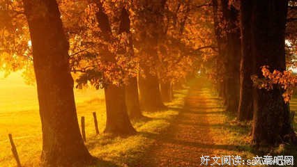 关于汪国真的句子