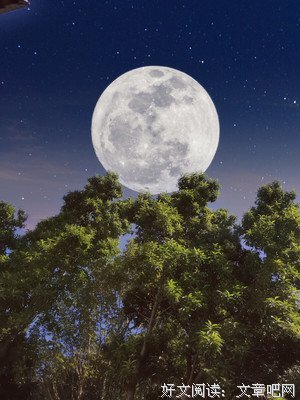 月明星稀经典的句子