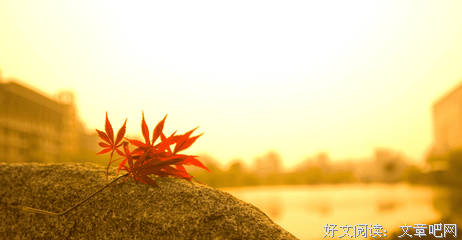 Gtc的优美句子