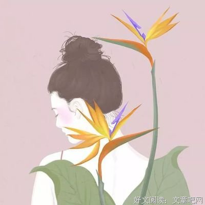 有关爱玛·多诺霍名言