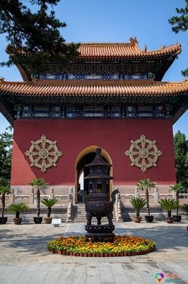 最新的《白衣剑卿》经典的句子
