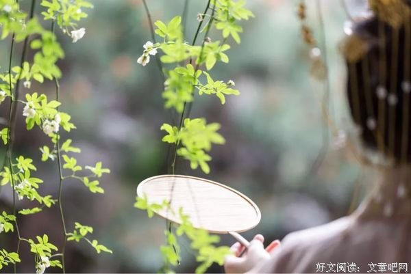云想衣裳花想容，春风拂槛露华浓