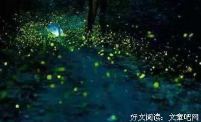 《姑娘，你比星星还耀眼》读后感锦集
