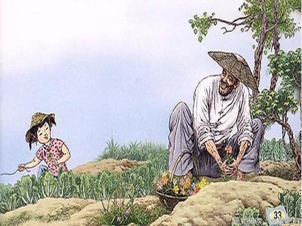 祖父的园子读后感精选