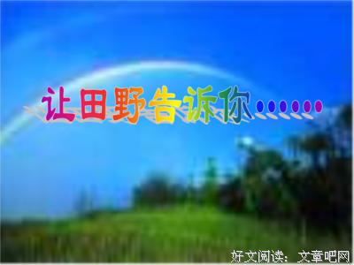 你们再也不写了？读后感精选