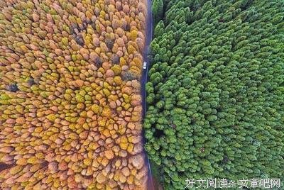 《我被封杀的抒情》读后感锦集