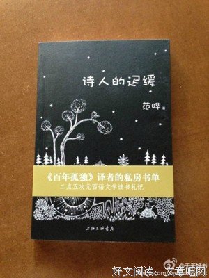 诗人的迟缓读后感摘抄